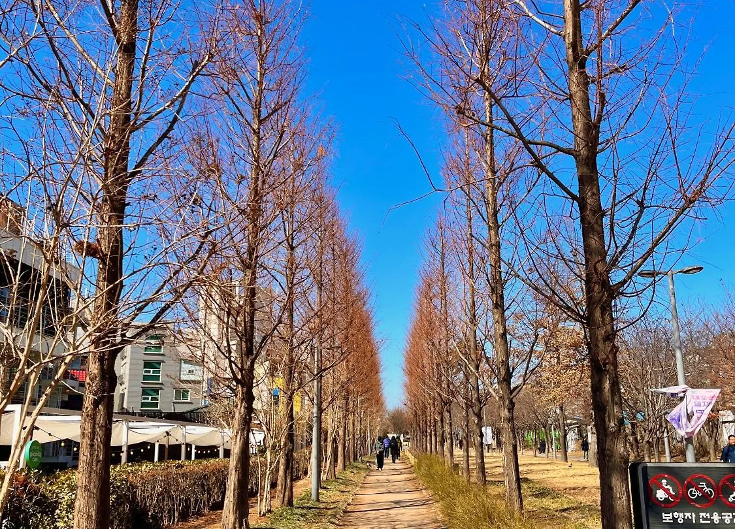 Seonja House Apartment Seoul